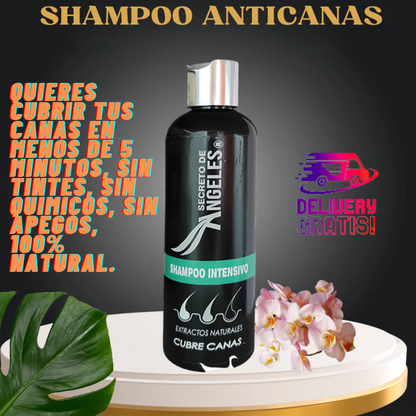 SECRET OF ANGELS - SHAMPOO ANTICANAS