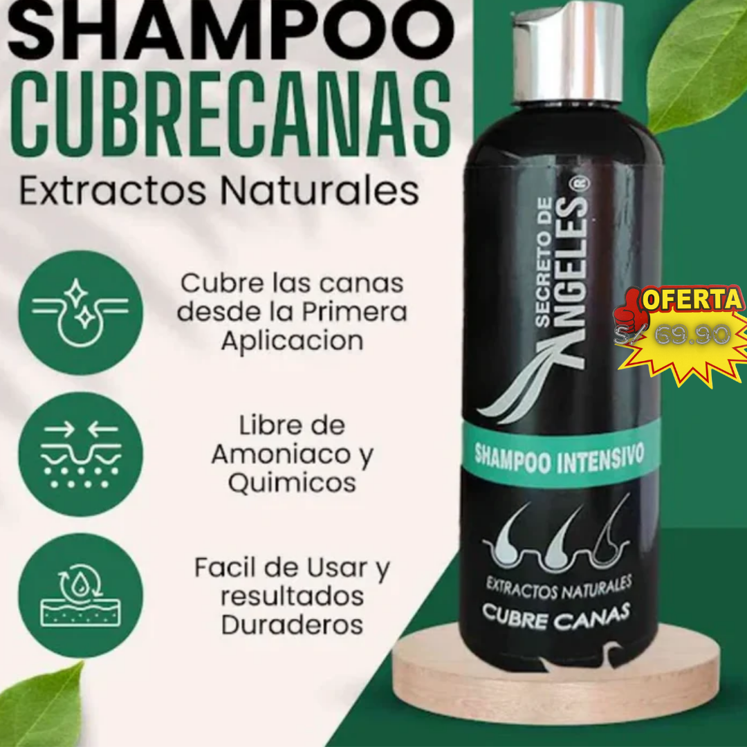 SECRET OF ANGELS - SHAMPOO ANTICANAS